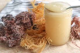 Is sea moss safe for you?