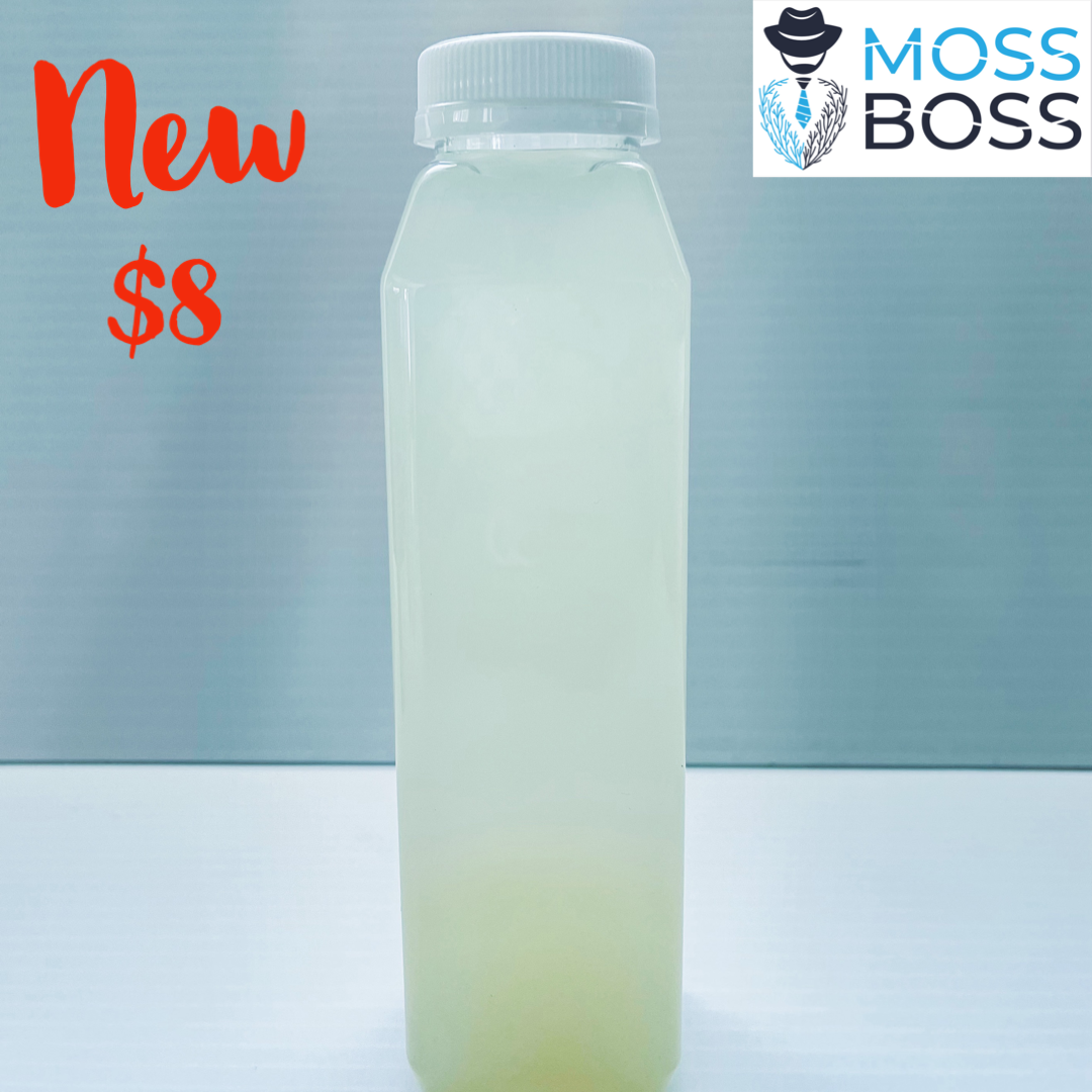 Lemonade sea moss drink (12 FL OZ)