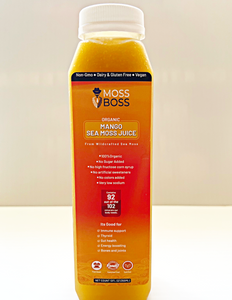 Mango Daily Drink (12FL OZ)